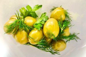 aceitunas gordal con hueso