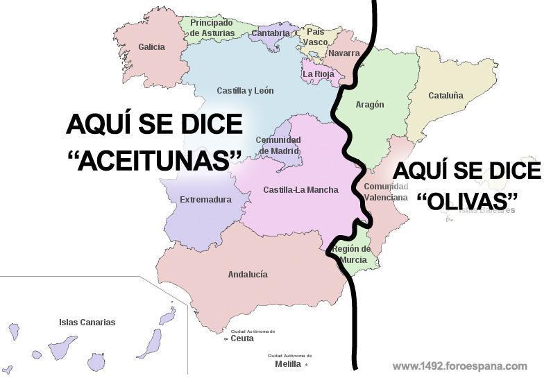 dónde se dice aceitunas y dónde se dice olivas en España